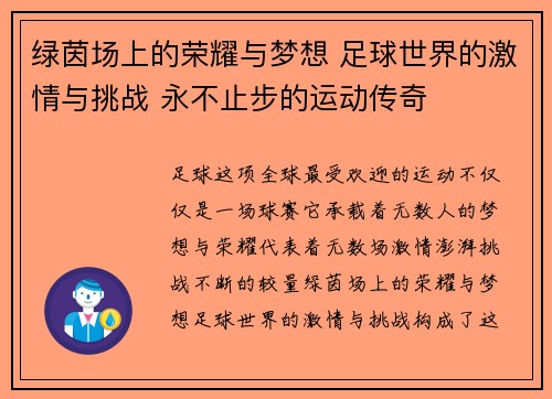 绿茵场上的荣耀与梦想 足球世界的激情与挑战 永不止步的运动传奇